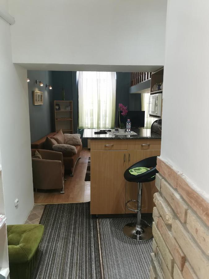 Galeria Apartman Szeged Buitenkant foto
